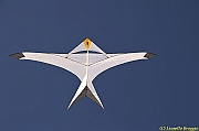 32 FESTIVAL CERVIA 2012 - 221